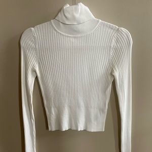 Zara Cropped Turtleneck